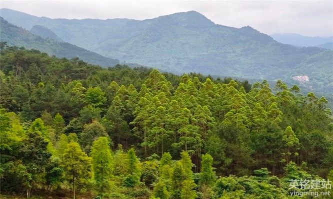 寧鄉制作手機網站有哪些好處？（寧鄉制作手機網站的5個帶來優勢）